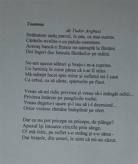 toamna de tudor arghezi mesajul textului|de tudor arghezi poezie.